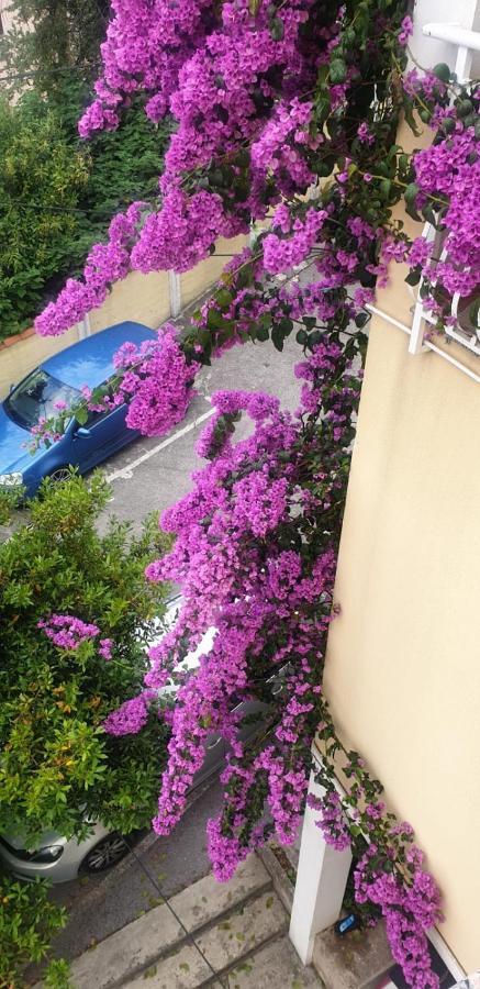 Apartman Jasna Opatija Exteriör bild
